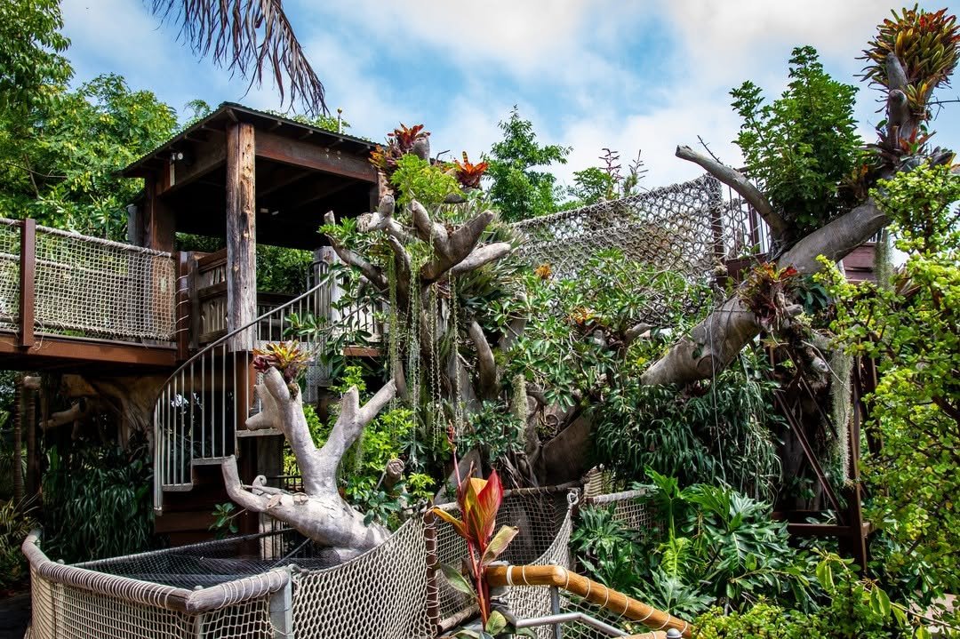 Secret Garden Treehouse or Play Area