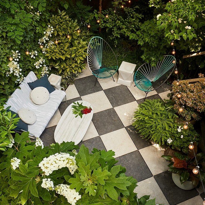 Shade-Loving Woodland Garden for Patio Garden