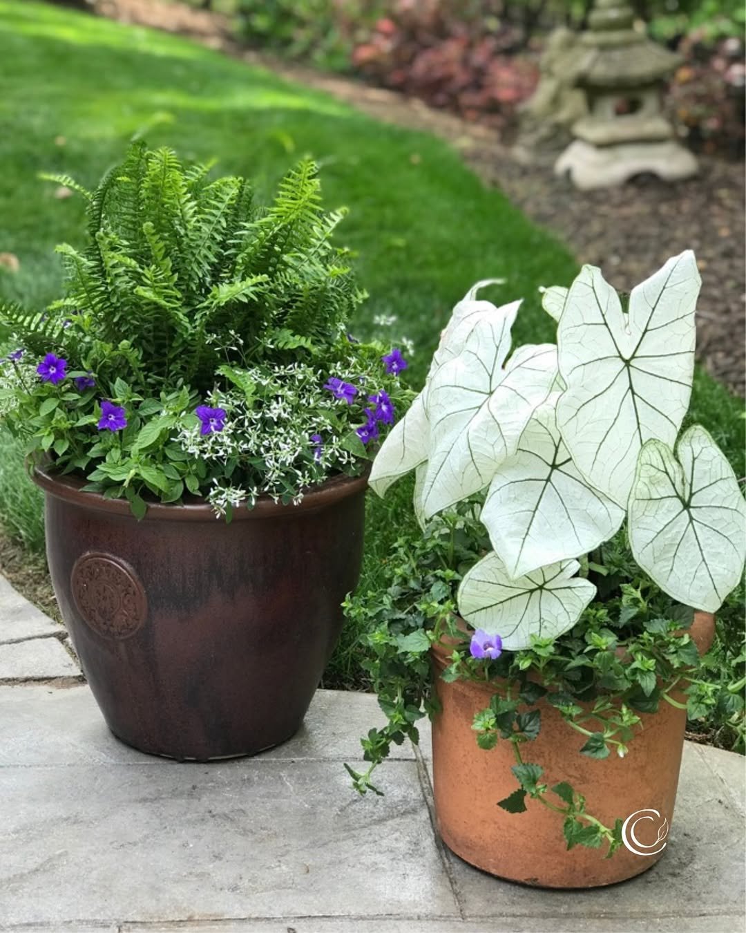Small Backyard Landscaping Container Garden Clusters