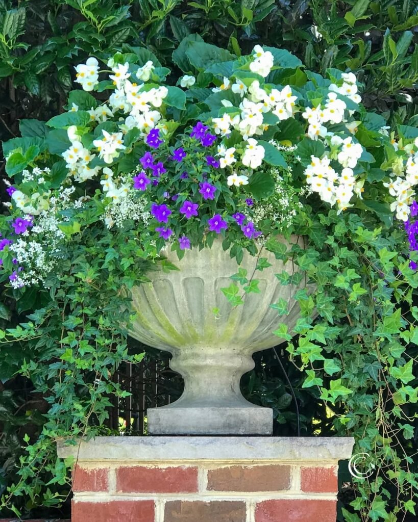 Small Backyard Landscaping Container Garden Clusters