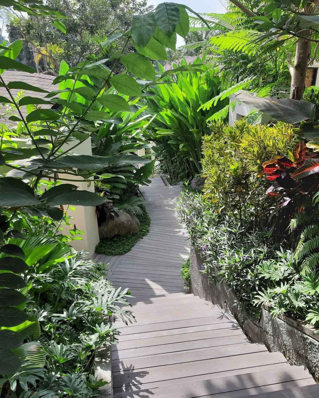 Small Tropical Garden Layering