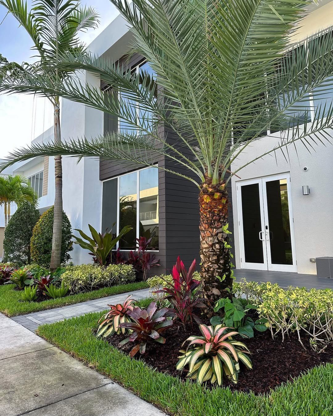 Small Tropical Garden Palm Varieties