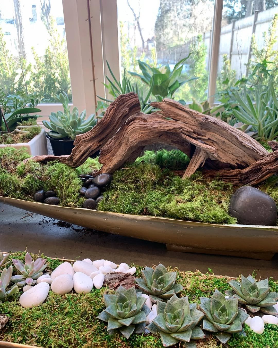Small Tropical Garden Rocks and Driftwood