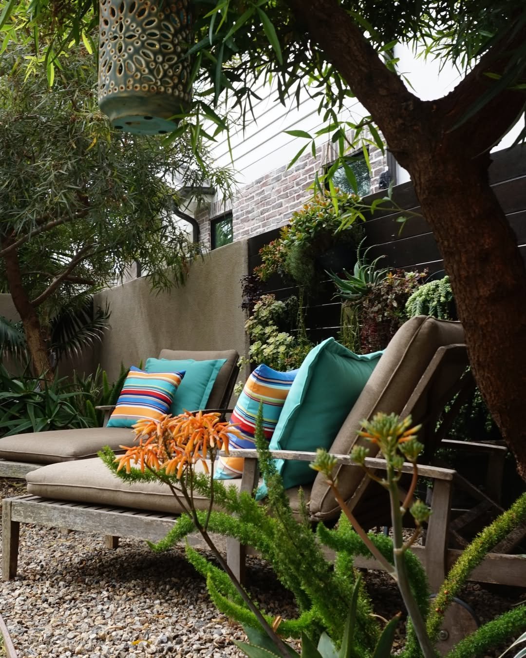 Small Tropical Garden Textures and Colors