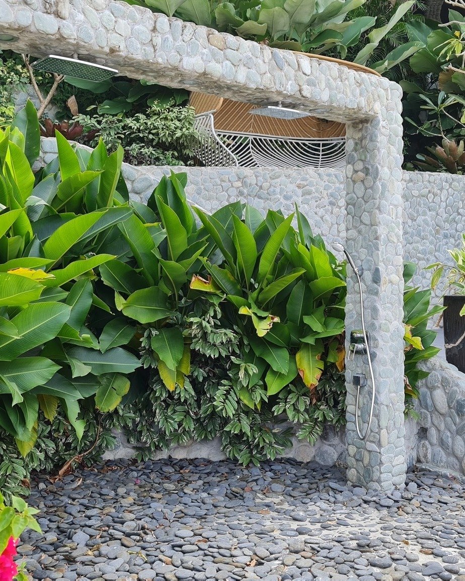 Small Tropical Garden Vertical Garden