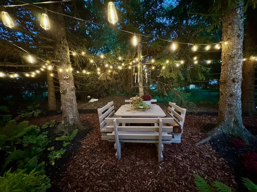 Backyard Makeover String Light Canopy in garden