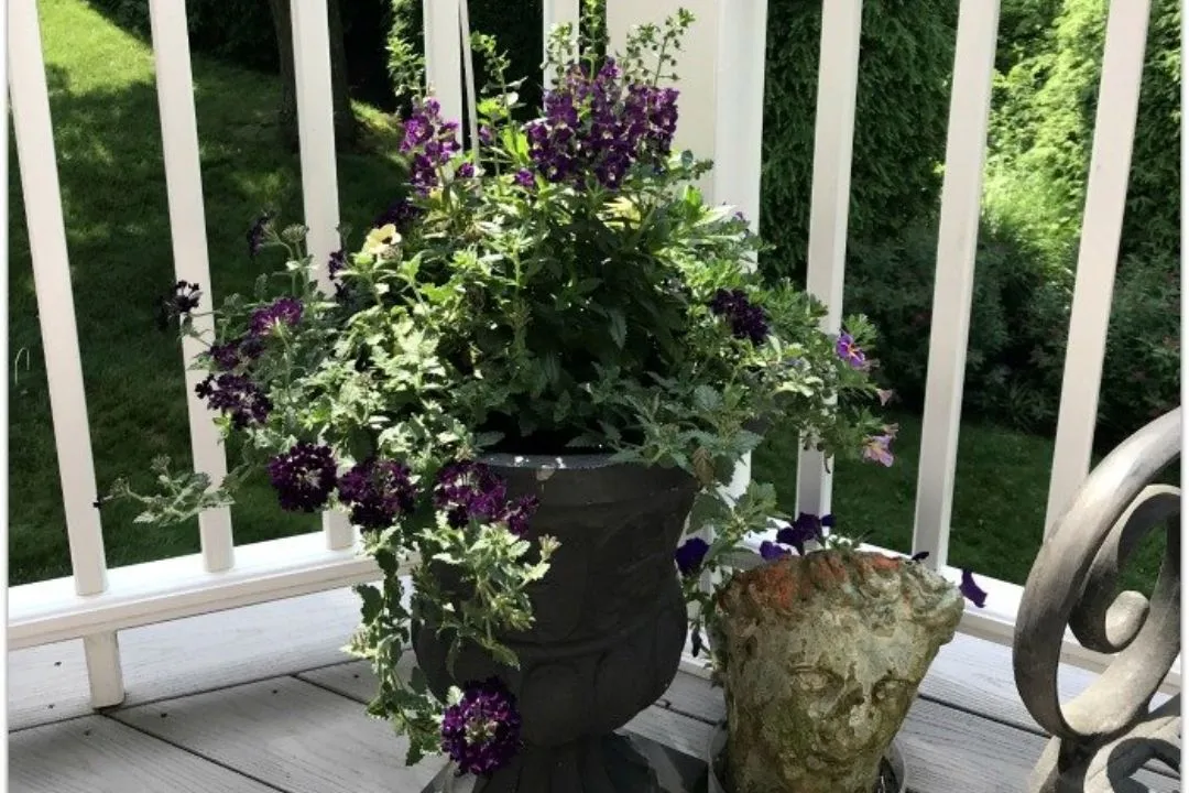 Teacup and Saucer Garden Art