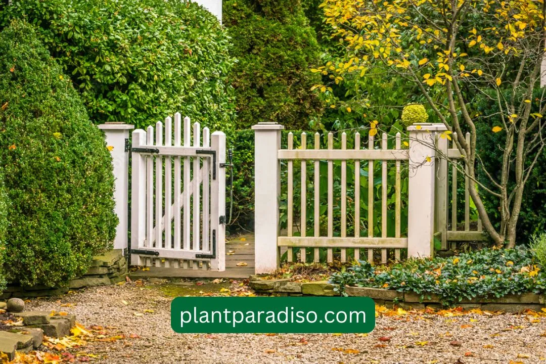 Vintage Picket Fence Backdrop