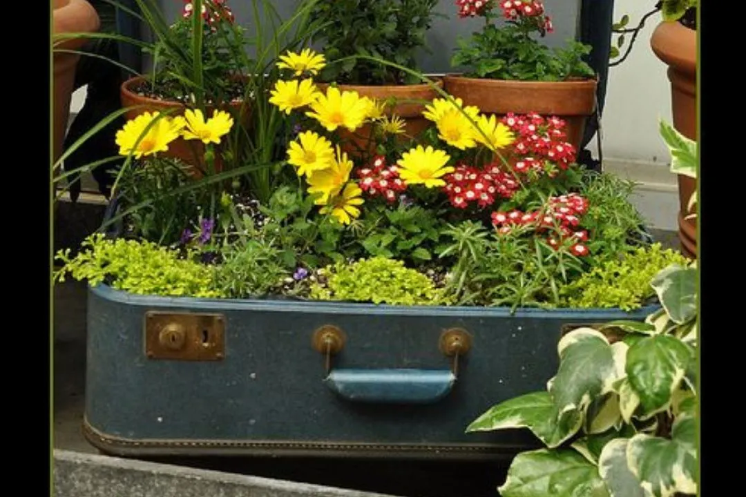 Vintage Suitcase Herb Garden