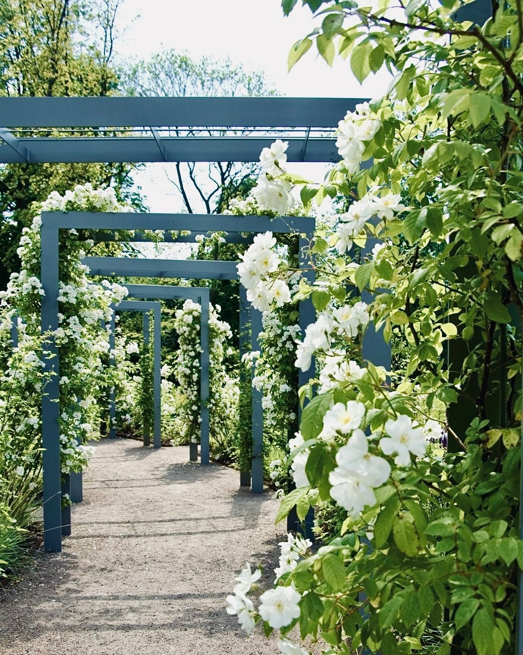 Pergola Passage For Secret Garden Entrance