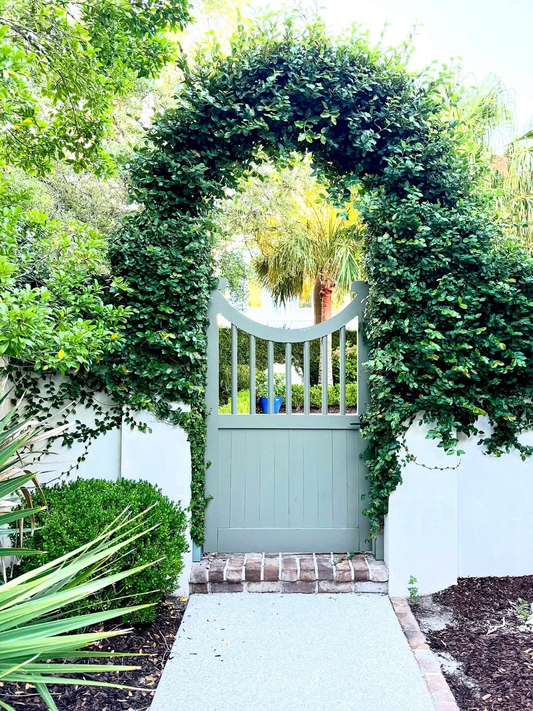 Vine-Covered Archway For Secret Garden Entrance