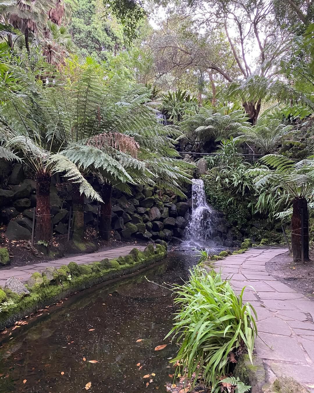 Waterfall Entrance For Secret Garden Entrance