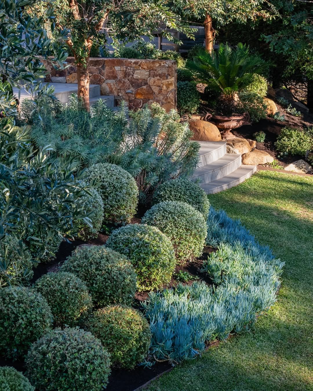 Layered Evergreen Screen