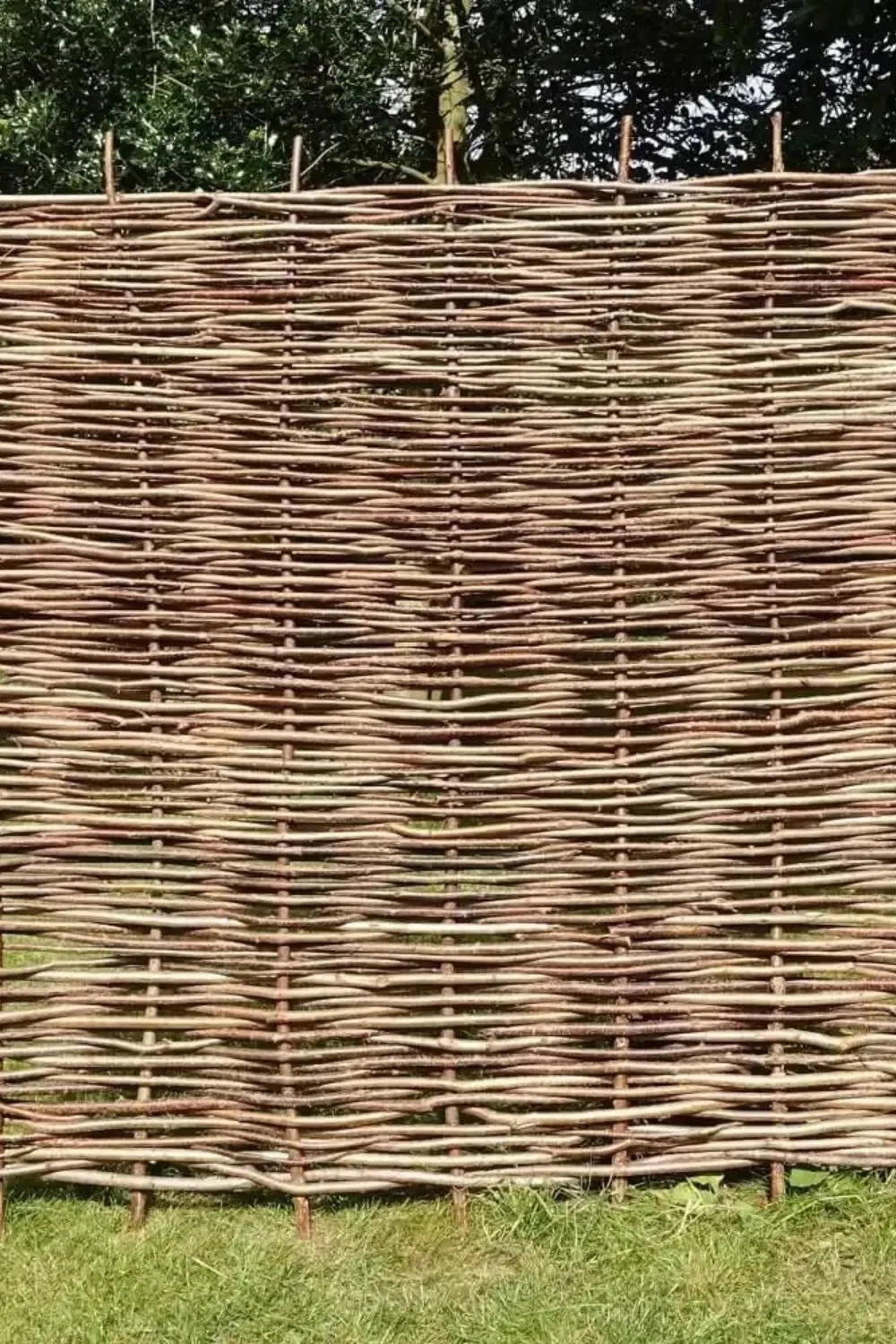 Woven Branch Screen