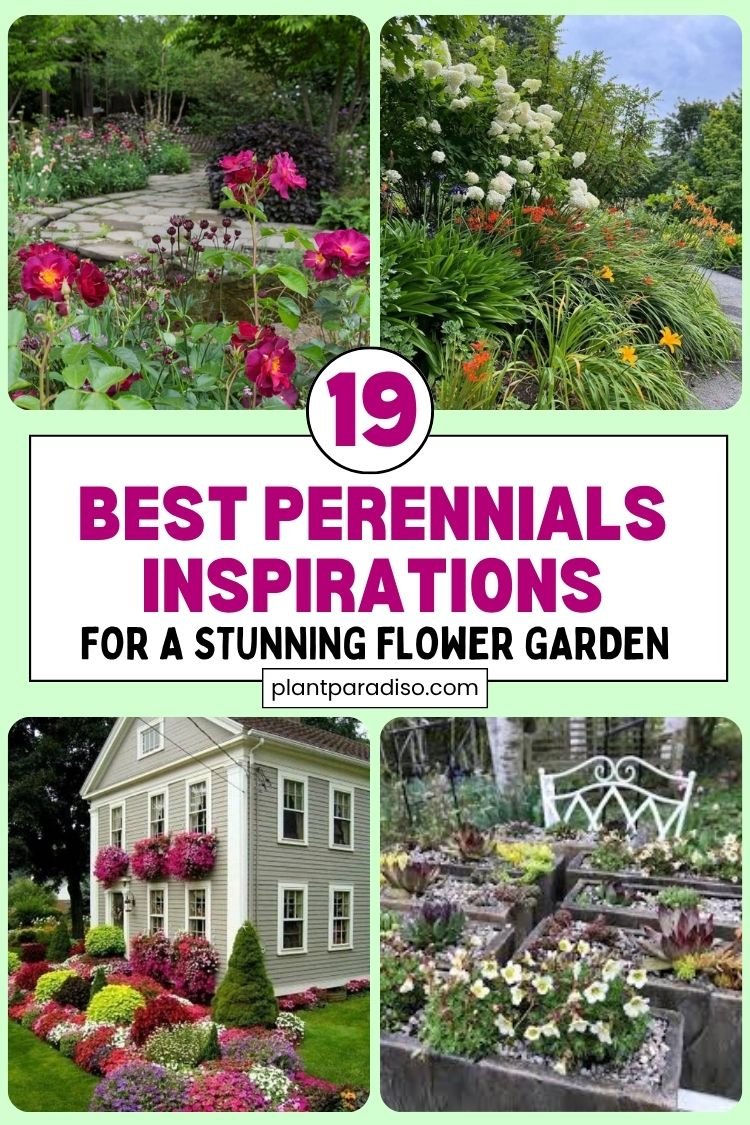 Beautiful Perennials