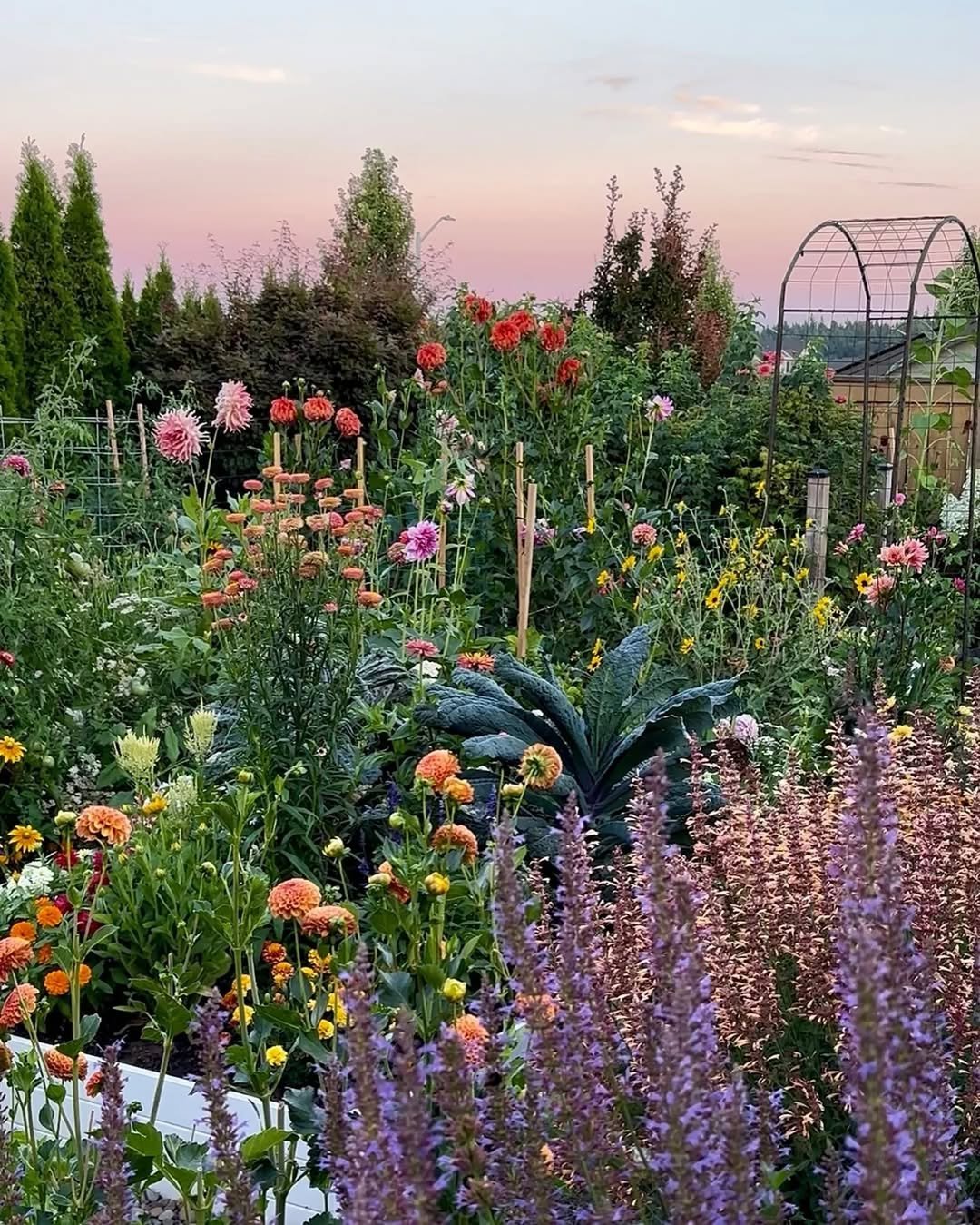 Colorful Blooms in Garden Shaded Areas