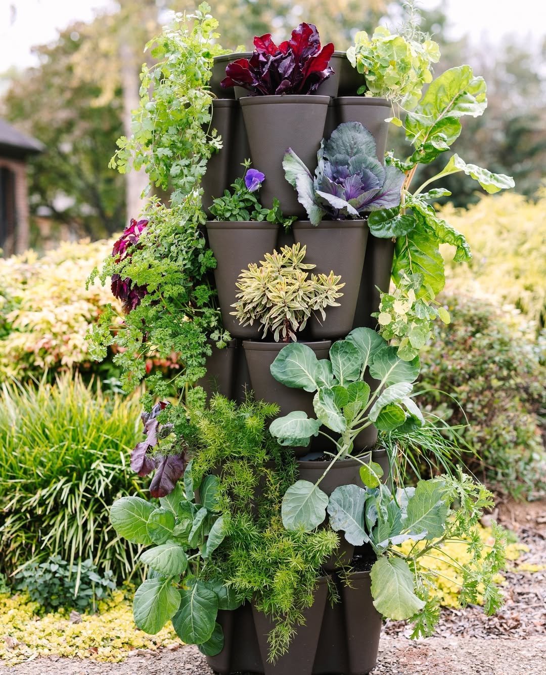 Vertical Gardens