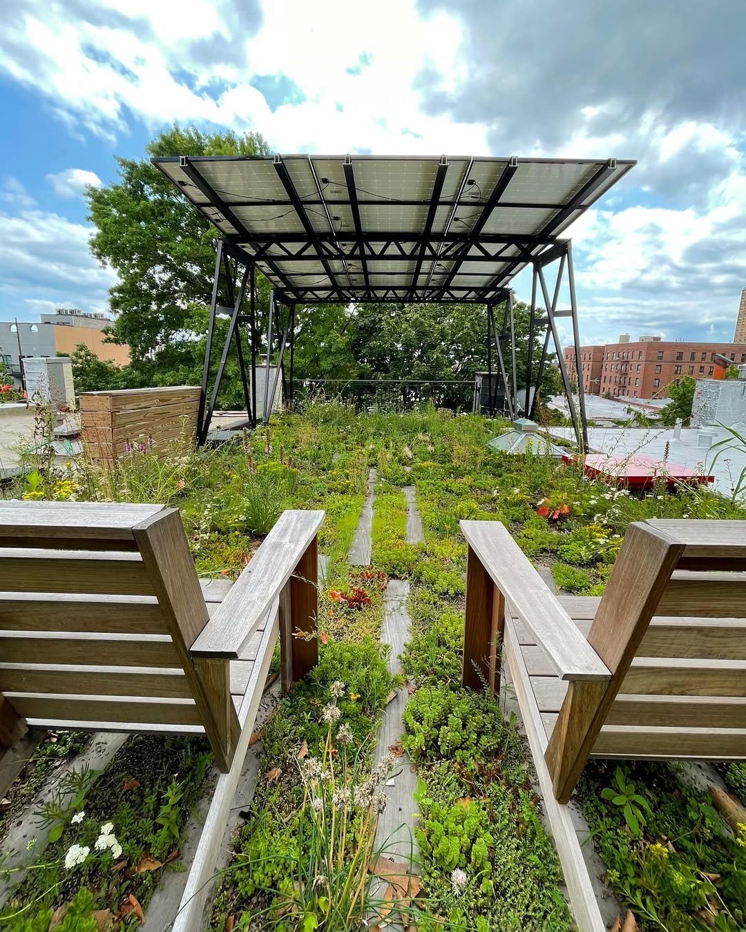Green Roofs in Townhouse