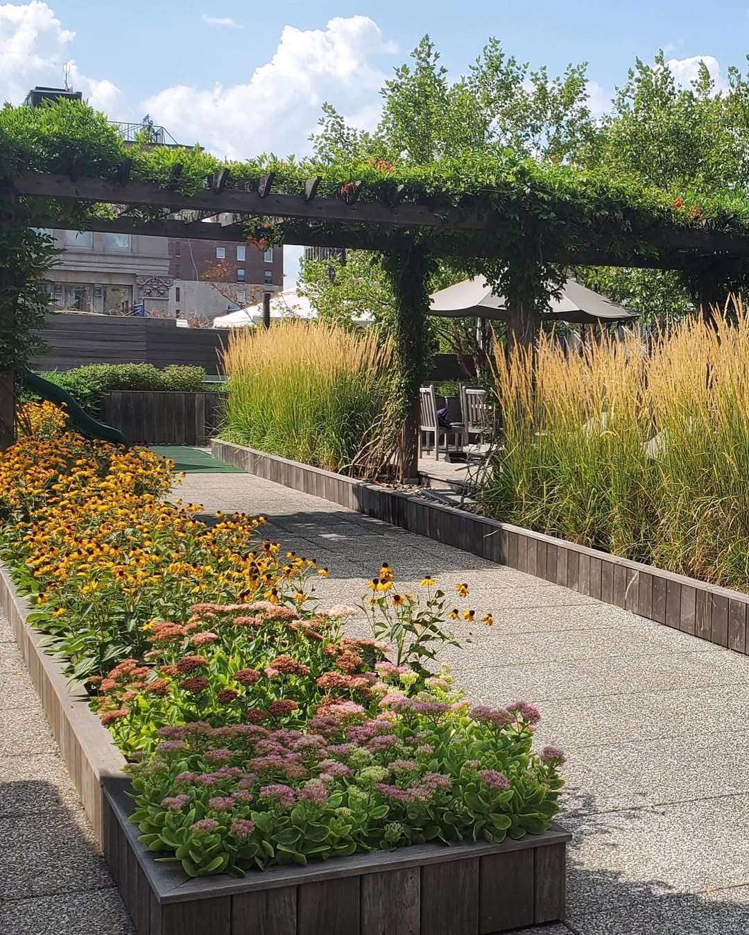 Pollinator Gardens in Townhouse Backyard