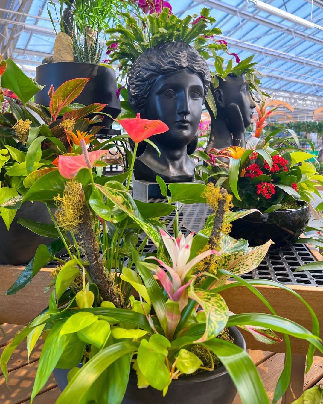 eco-friendly Mini Creative Planters