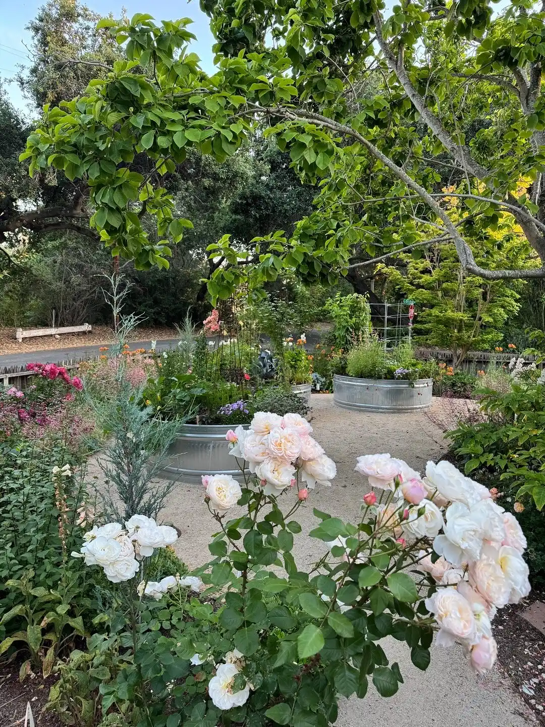 eco-friendly Mini Edible Gardens