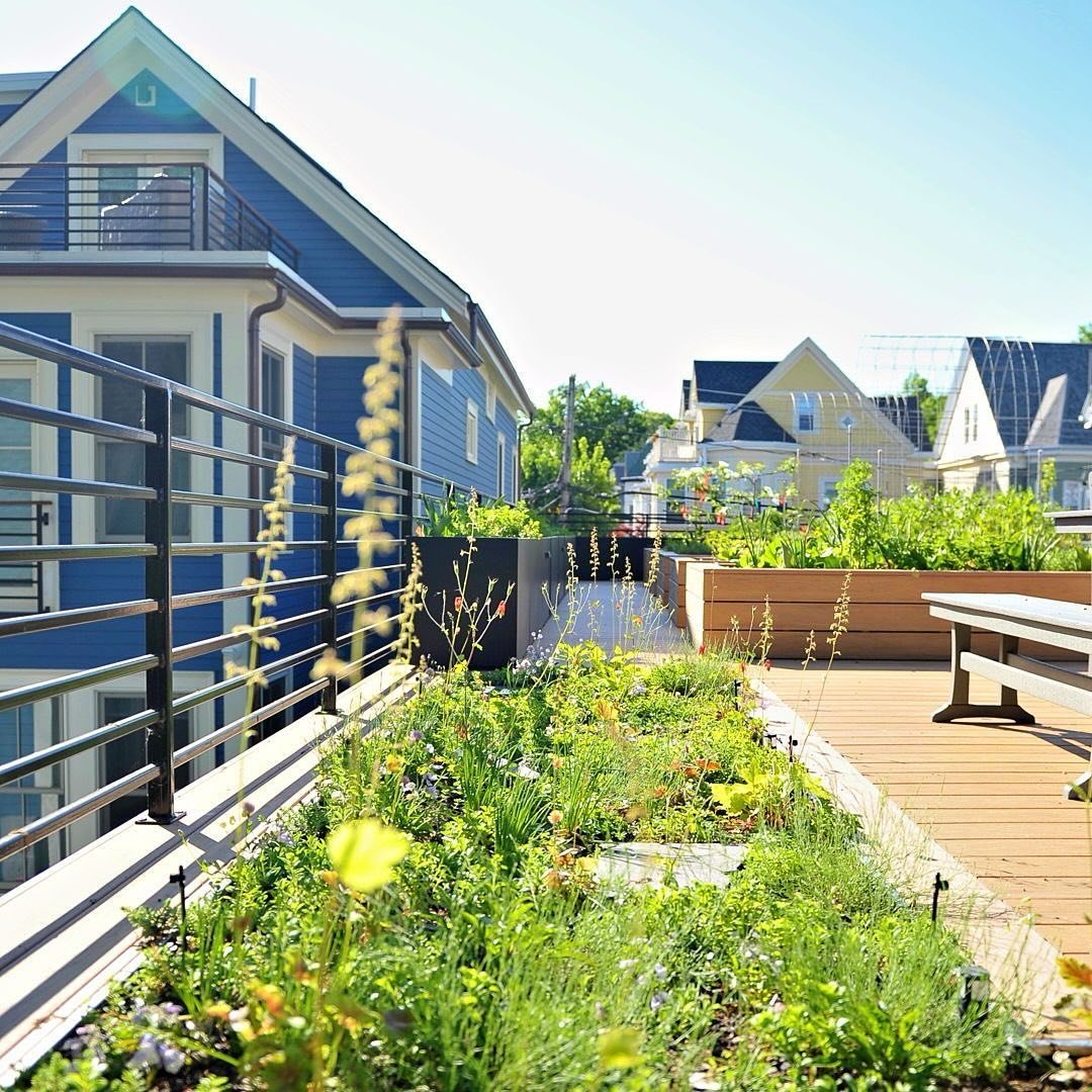 eco-friendly Mini Green Roofs