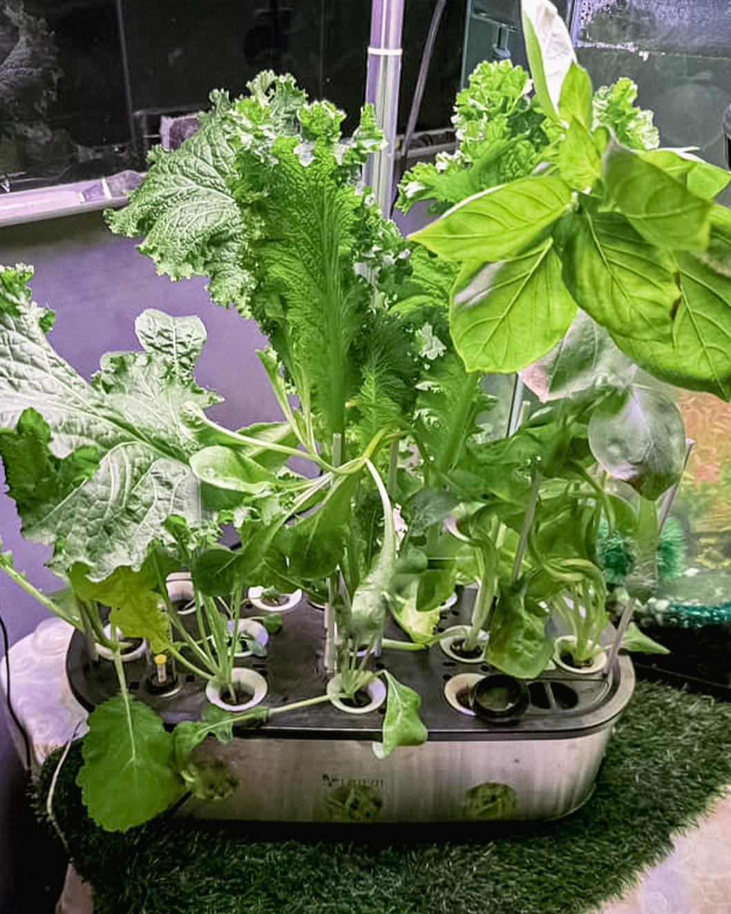 Hydroponic Gardens Eco-Friendly Mini Garden 