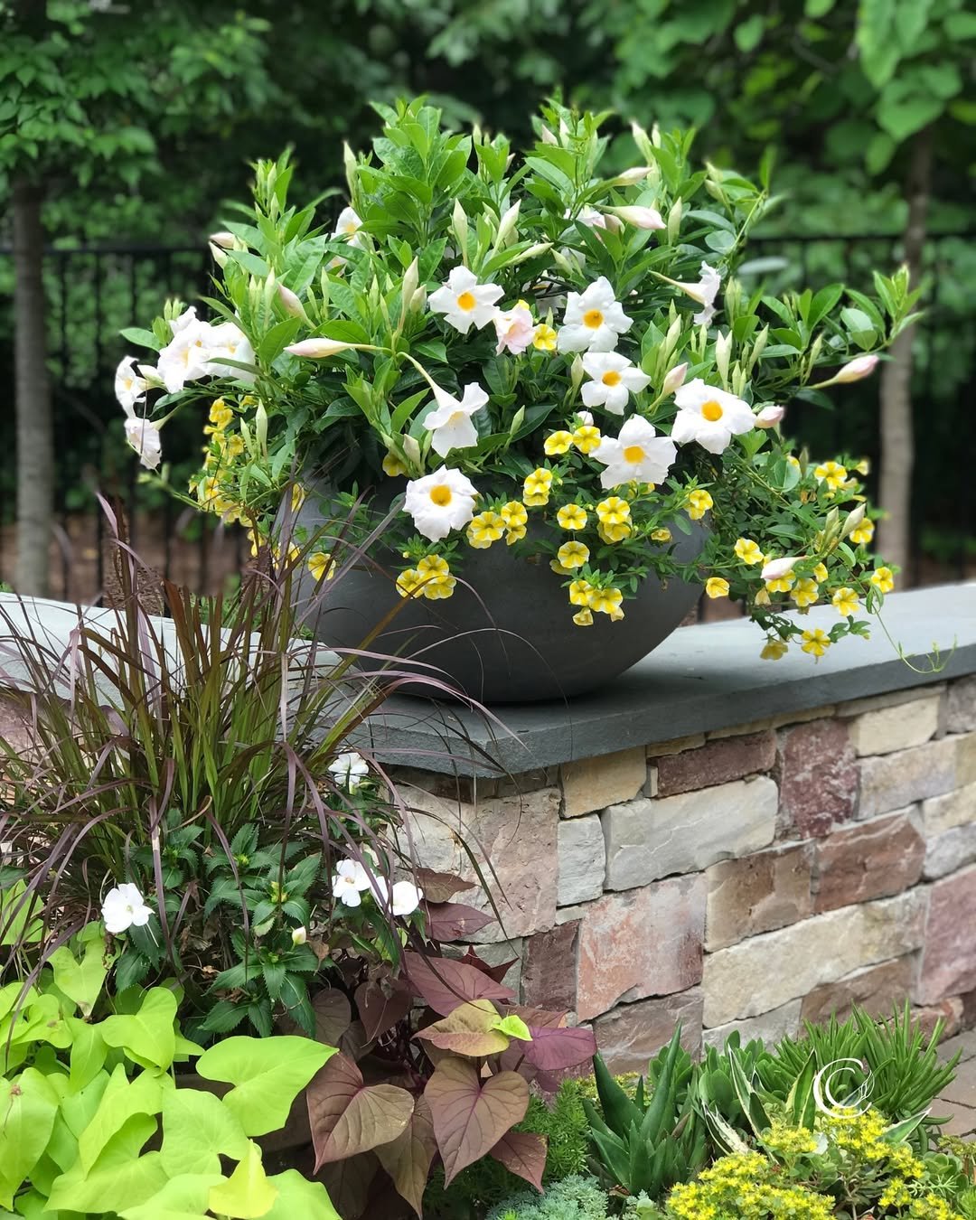 eco-friendly mini Container Gardens