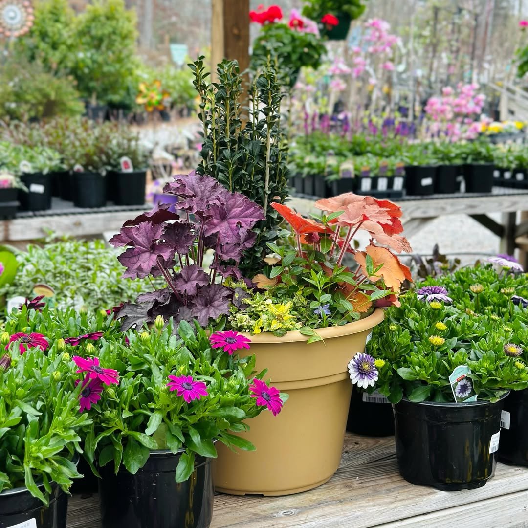 Townhouse Backyard Container Gardening