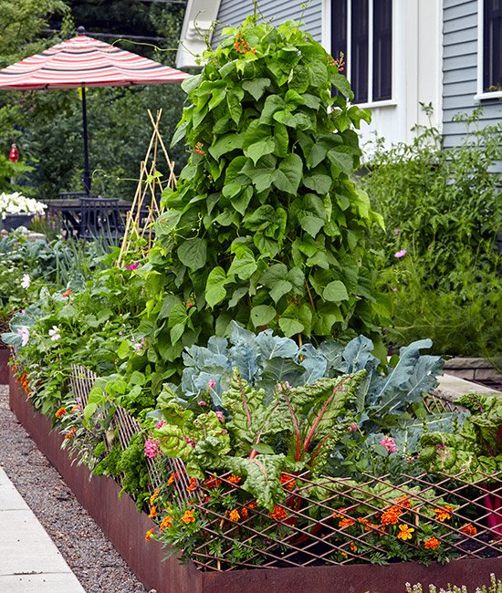 Front vegetable Garden Landscaping Designs