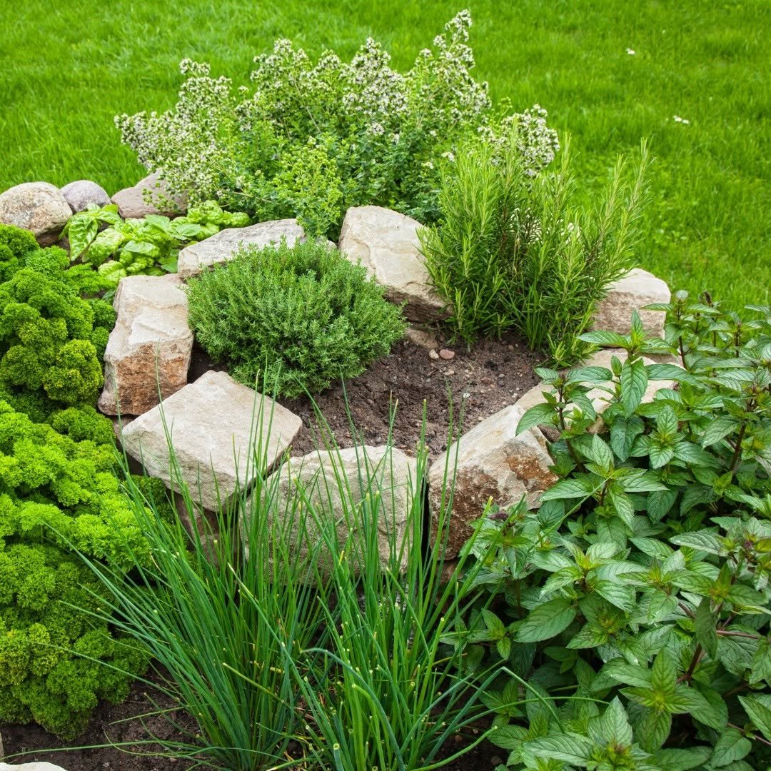 Townhouse Backyard Herb Spiral Garden