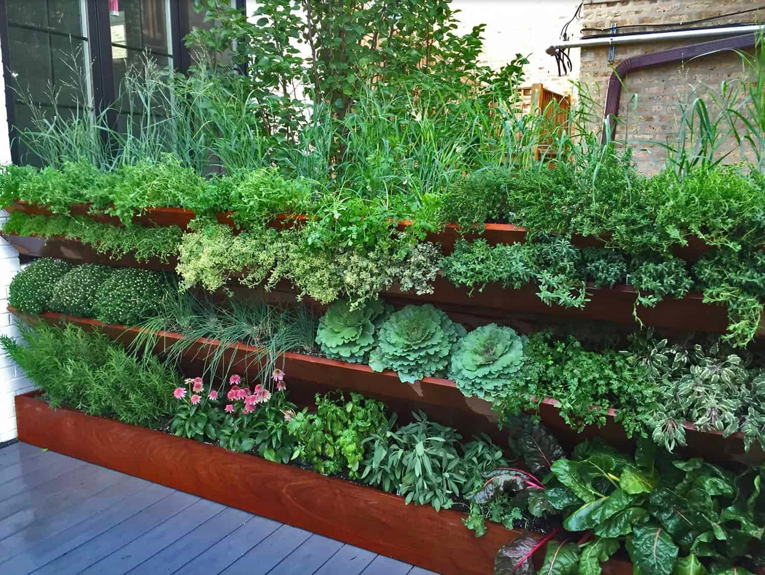 Maximum Yield Balcony Vegetable Garden