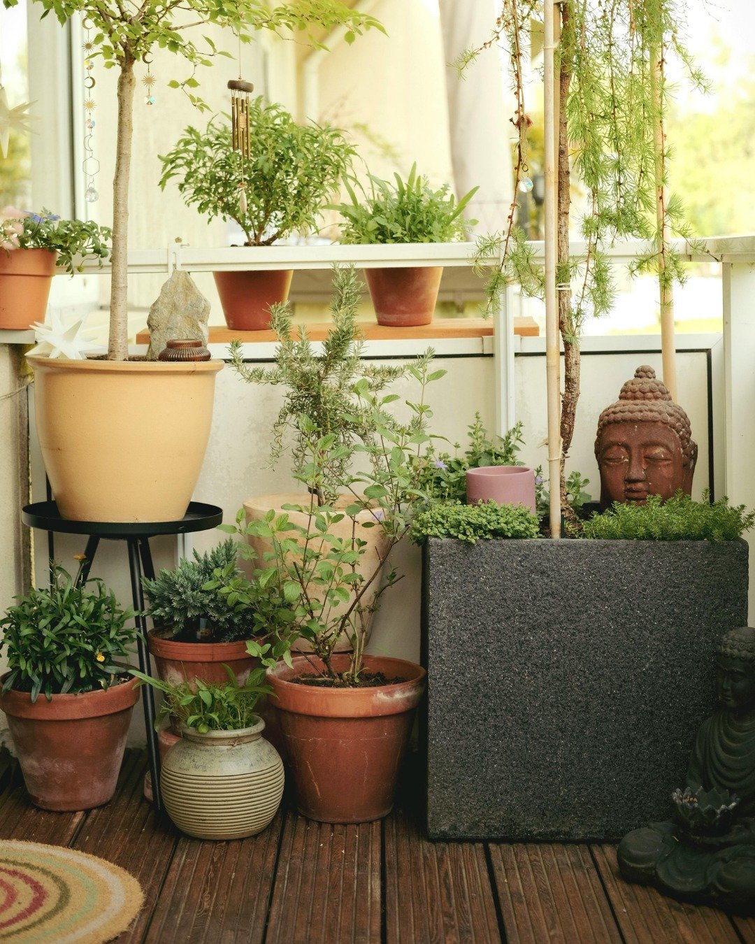 Pest Management Made Easy Balcony Vegetable Garden