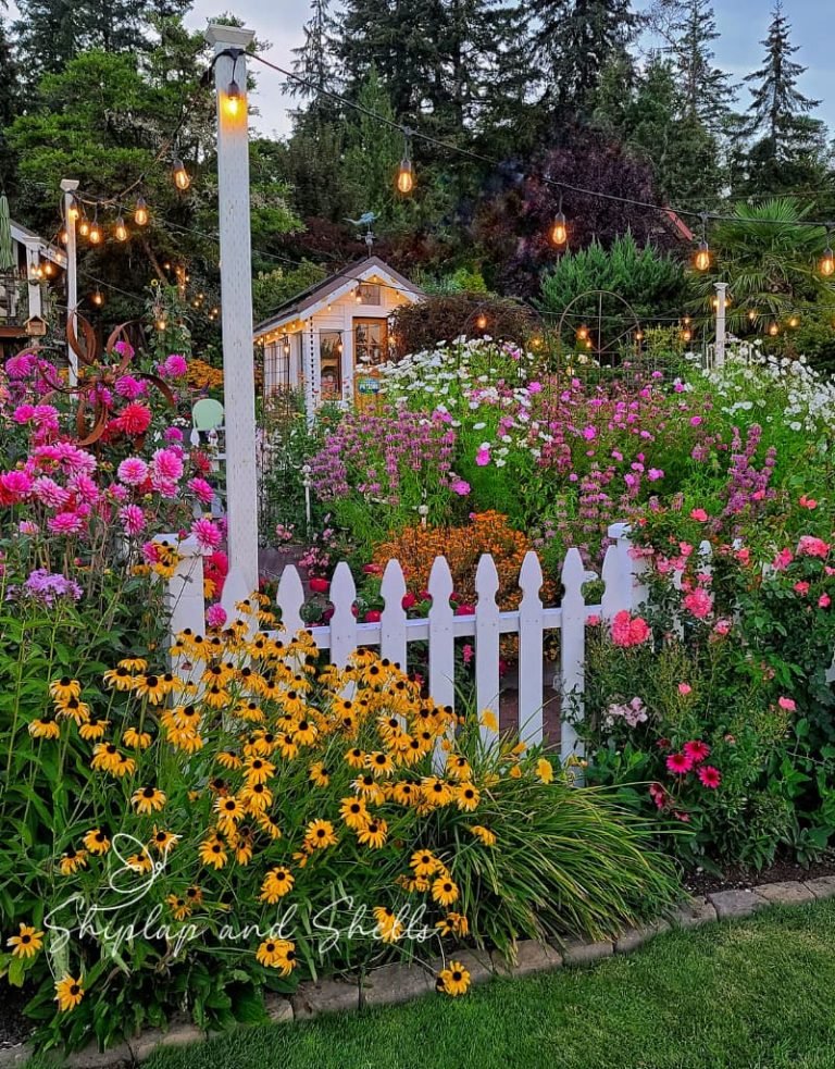 15 Stunning Cottage Garden Border Ideas to Elevate Your Home's Curb ...