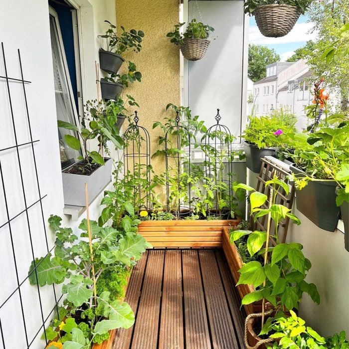 Sustainable Practices Balcony Vegetable Garden