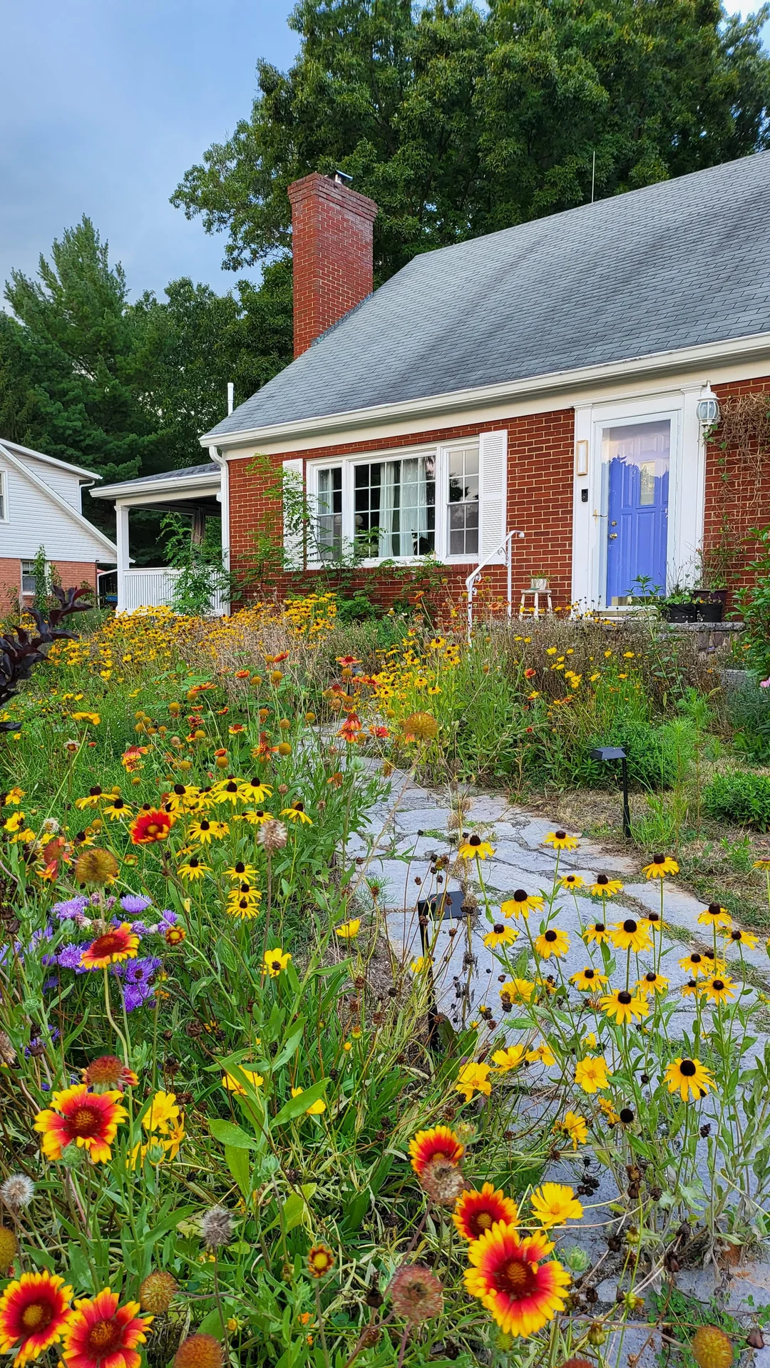 Wildflower Meadows in Front Garden Landscaping Designs
