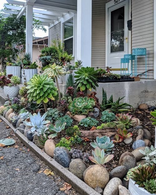 succulent display in Front Garden Landscaping Designs