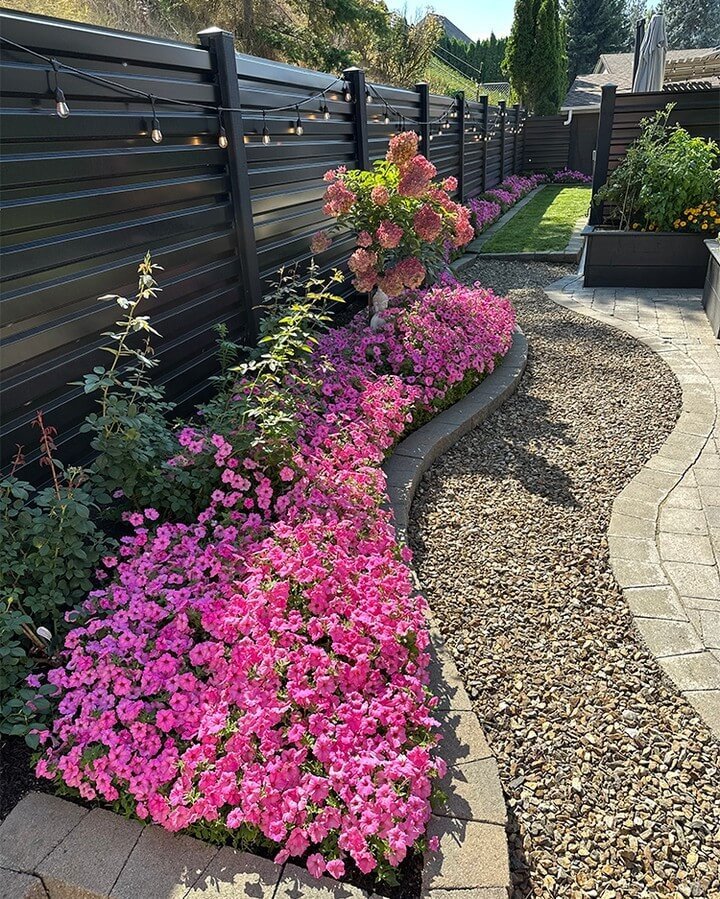 1. Curved Flower Beds with Petunias for a Modern Backyard