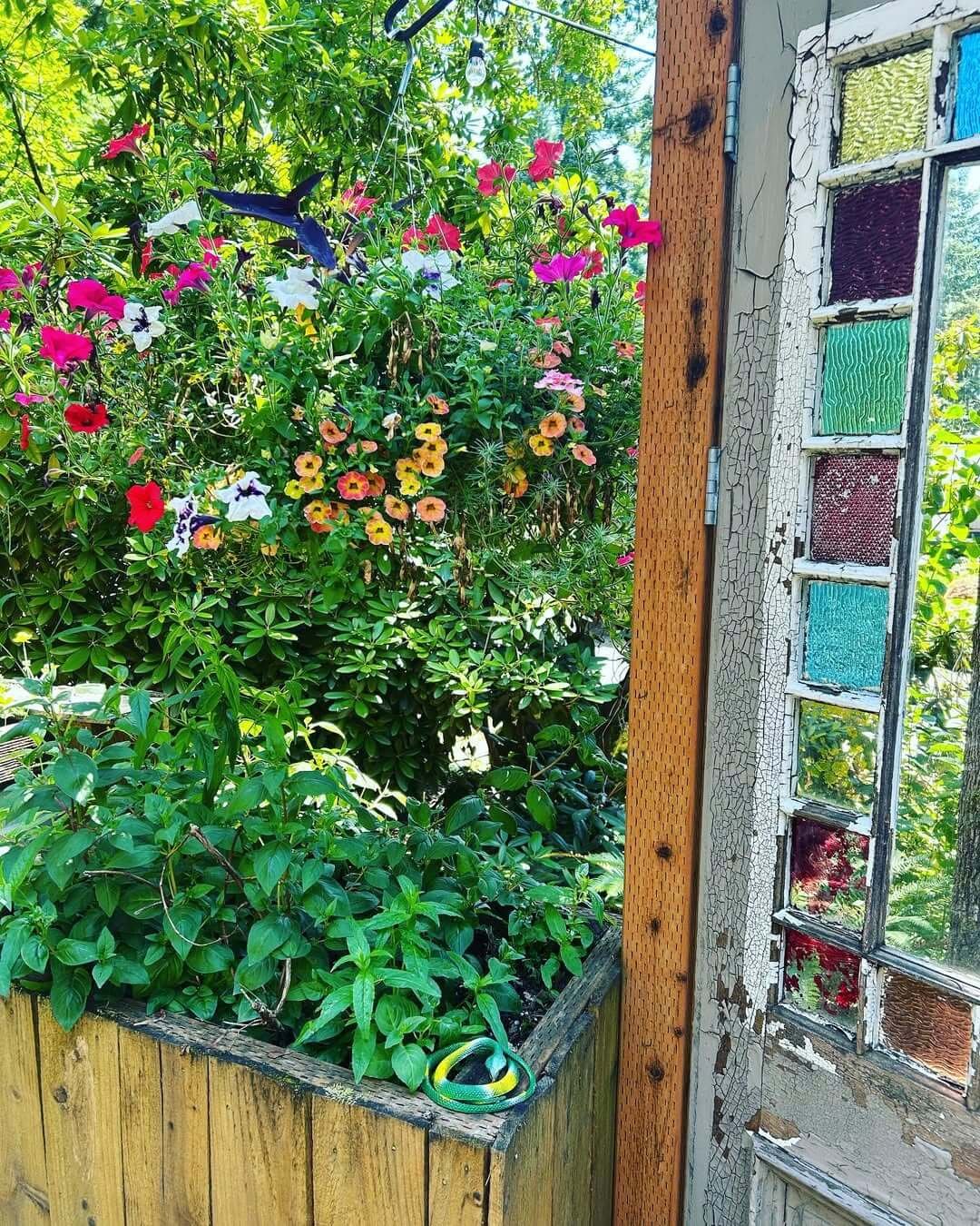 19 Hippie Garden Ideas to Turn Your Yard Into a Boho Paradise ...