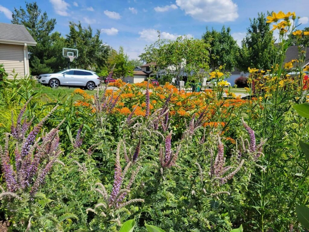 14. Pollinator Paradise with Prairie-Style Planting