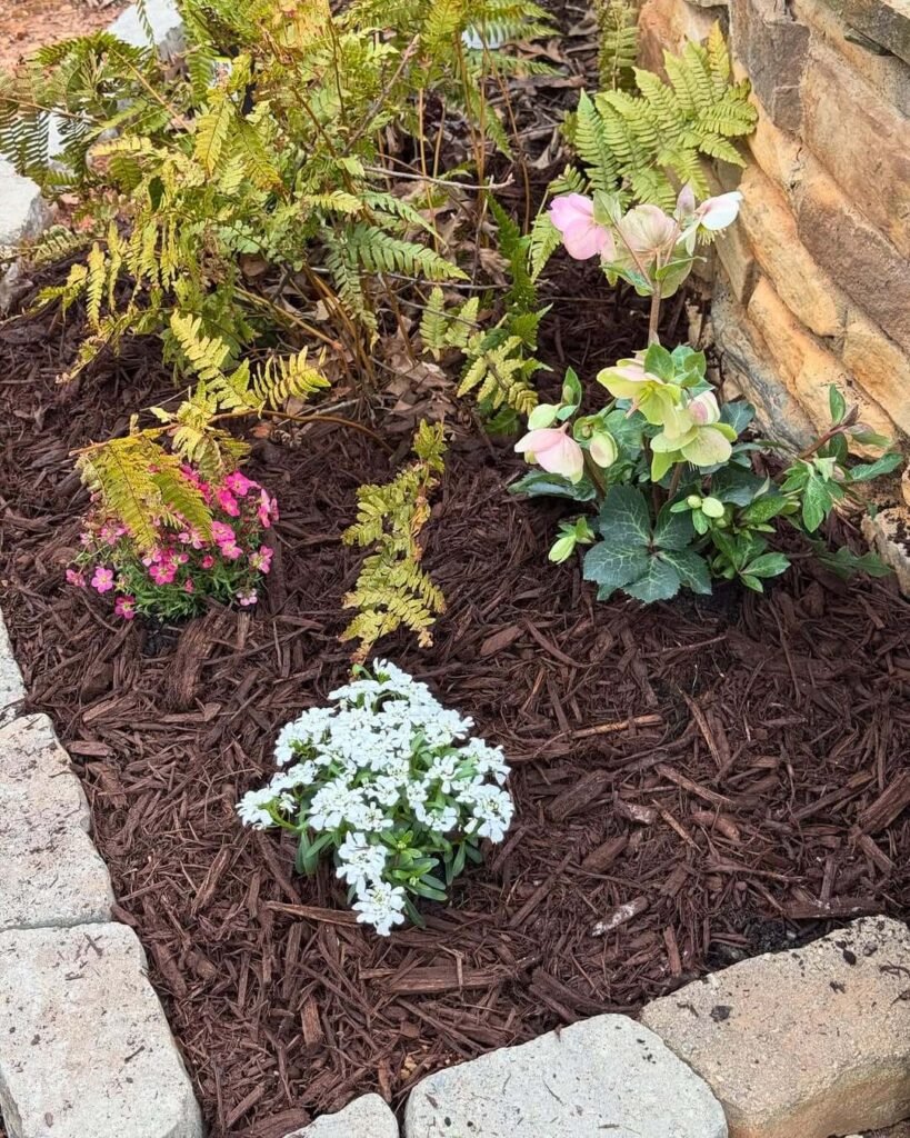21. Woodland-Inspired Shade Bed with Ferns and Hellebores