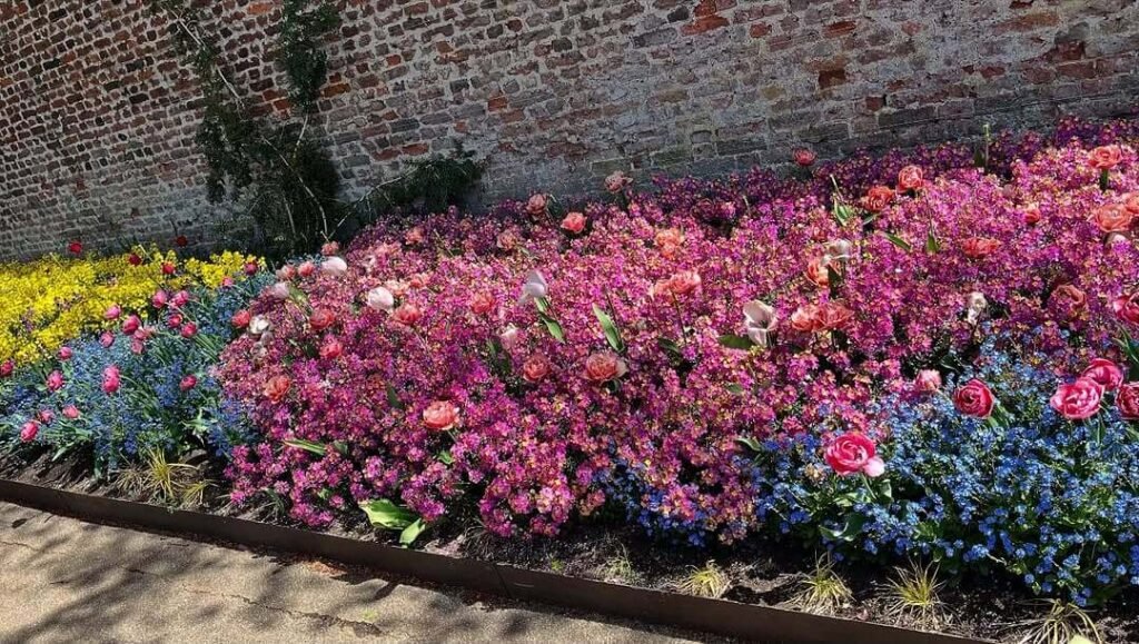 22. Layered Color Bed with Mass Planting for Maximum Impact