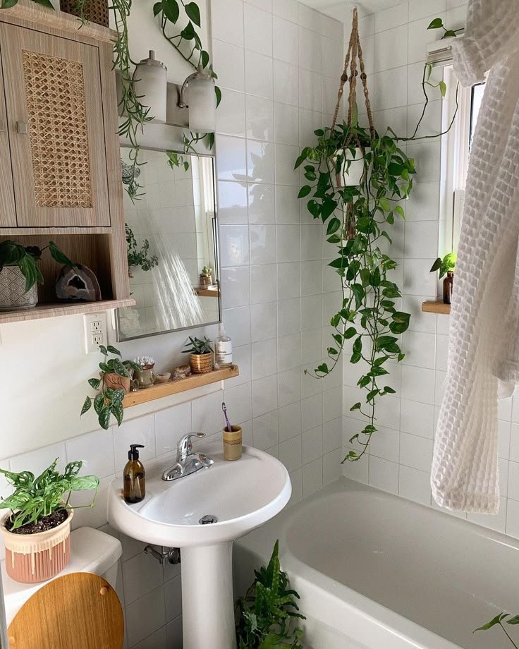 Bathroom Plants Snake Plant: The Tough One