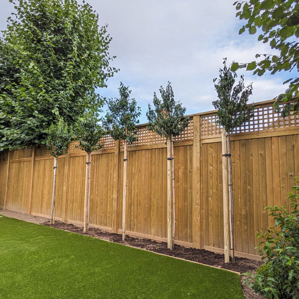 10. Tall Fencing with Trellis Tops for Extra Height & Privacy