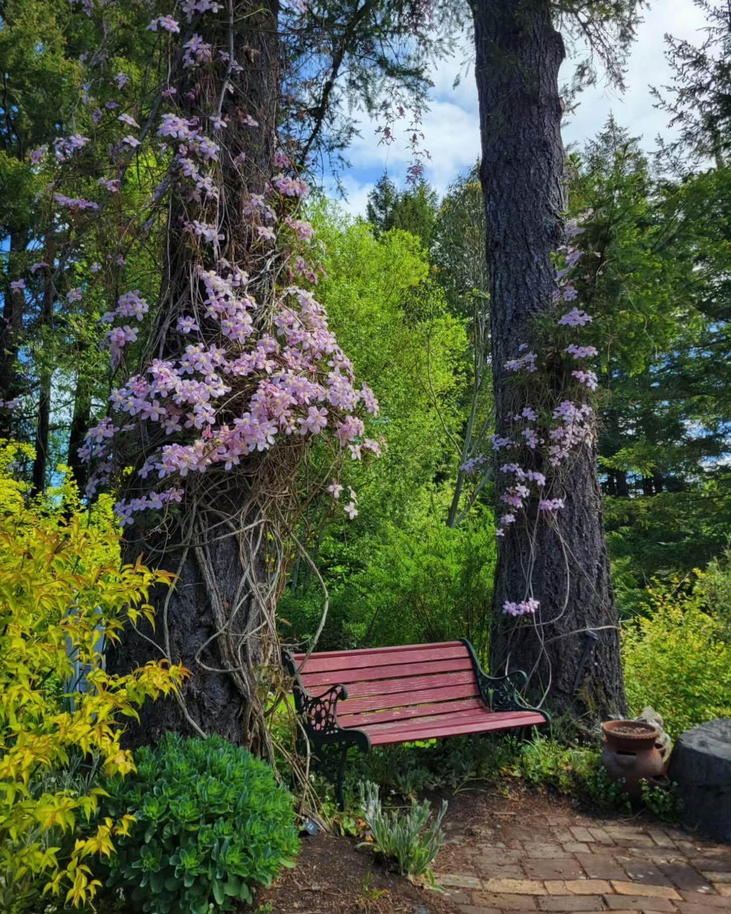 Garden Bench Ideas