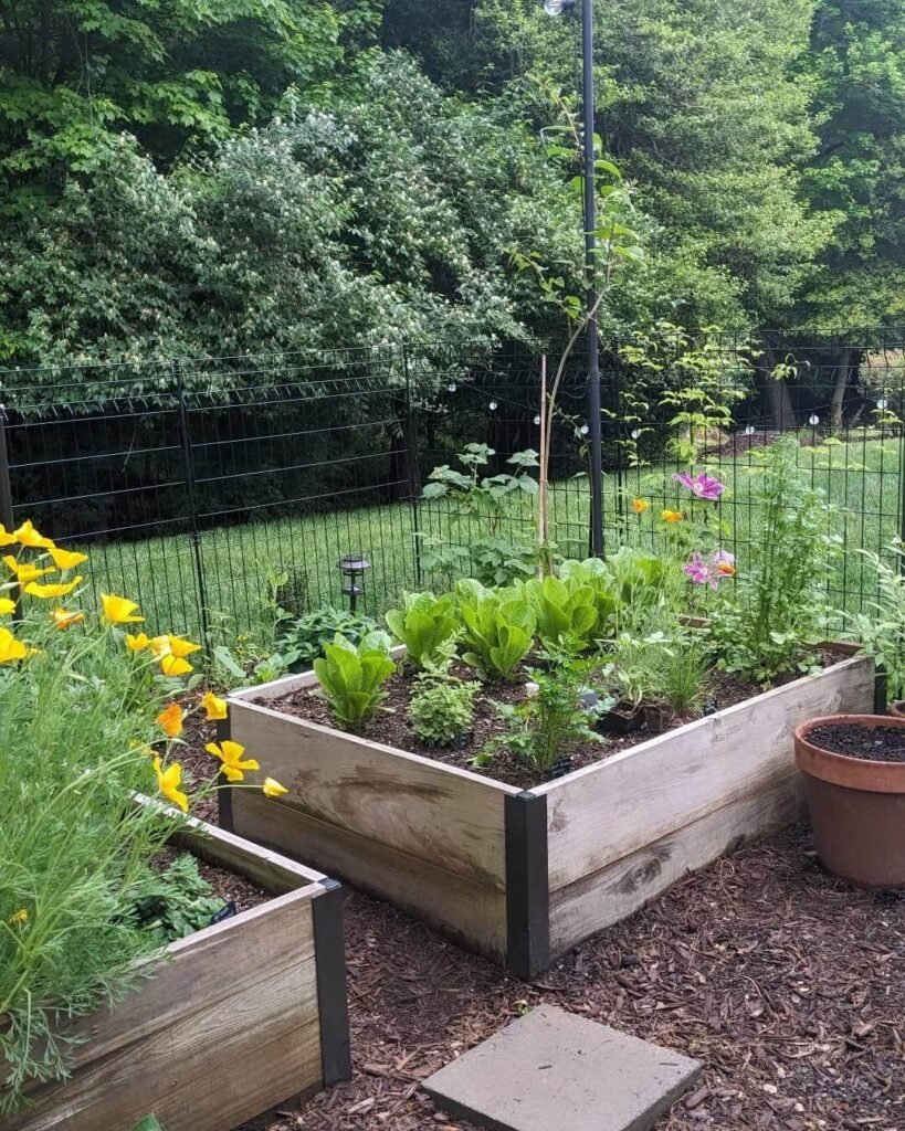 13. Minimal Wire Fence for Invisible Garden Boundaries