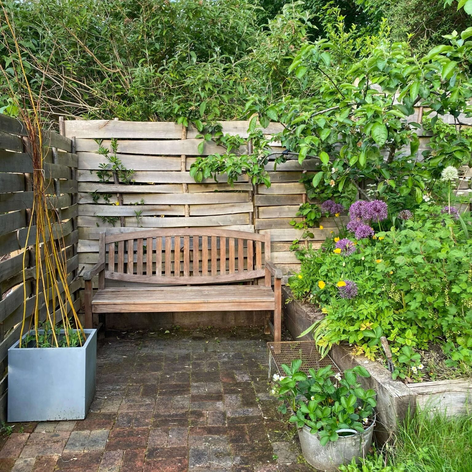 Garden Bench Ideas That Will Instantly Elevate Your Outdoor Space ...