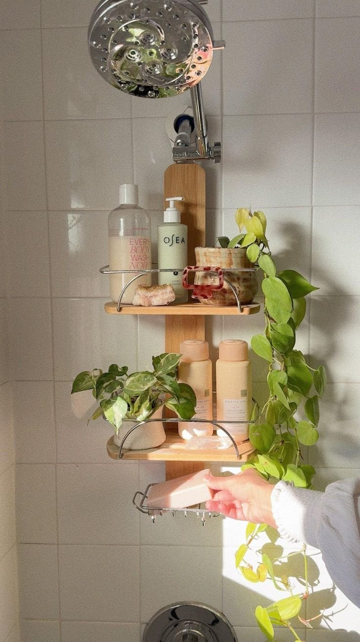 Pothos plants