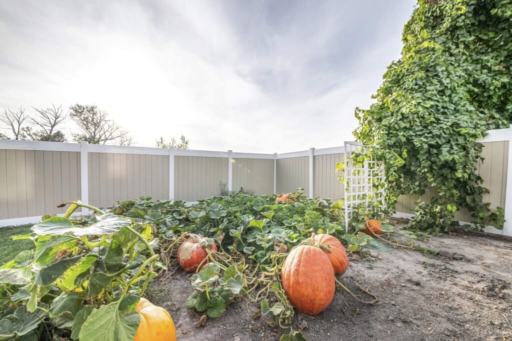 32. Vinyl Privacy Fence for a Clean, Contemporary Look