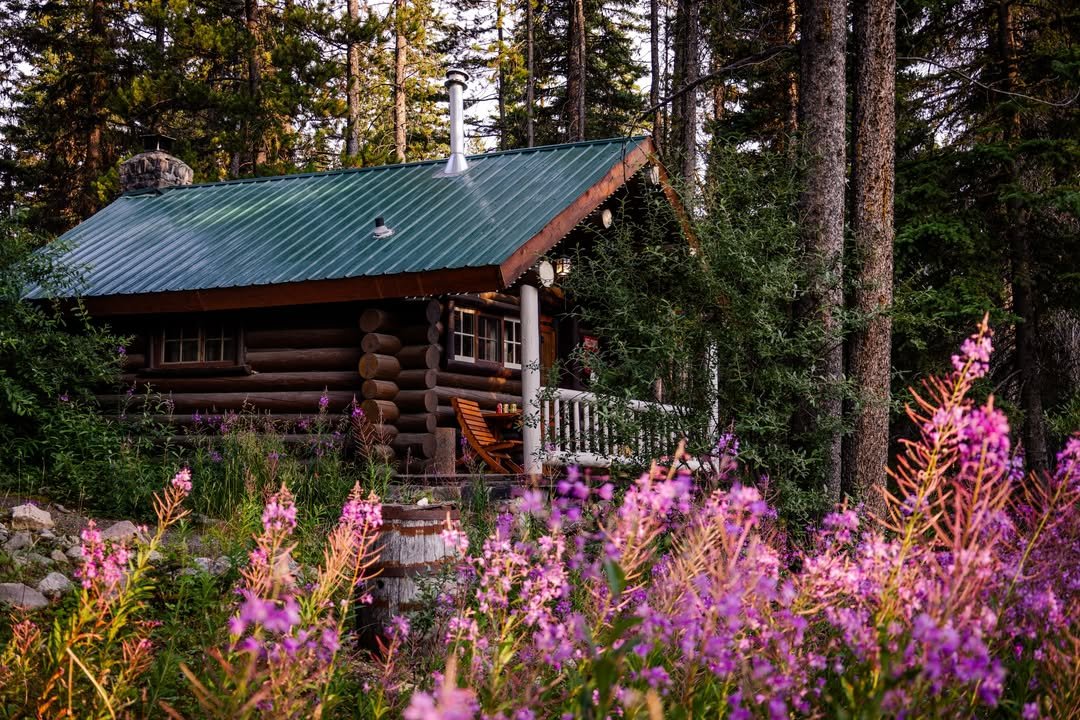 Enchanting Cottage Garden Rustic Log Cabin Shed